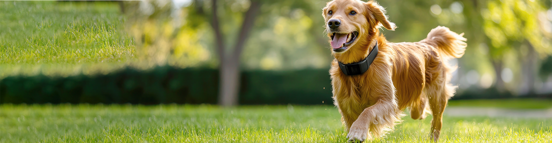 slider image slider_item_NbqkMa